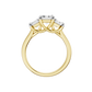 3.00ct Emerald Certified Three Stone Lab Diamond Ring